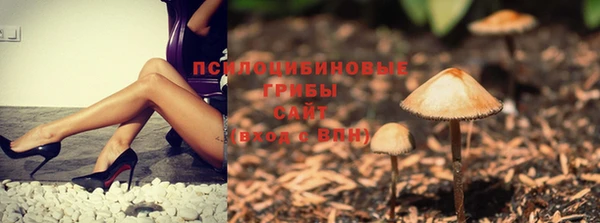 дмт Арсеньев