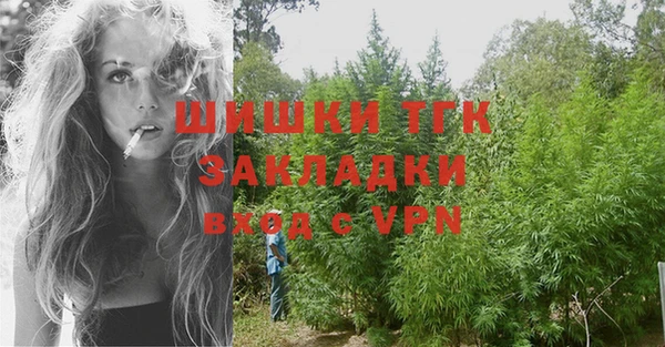 дмт Арсеньев