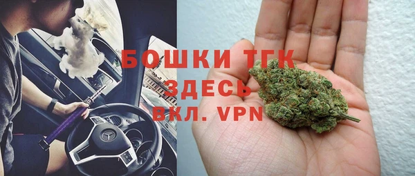 дмт Арсеньев