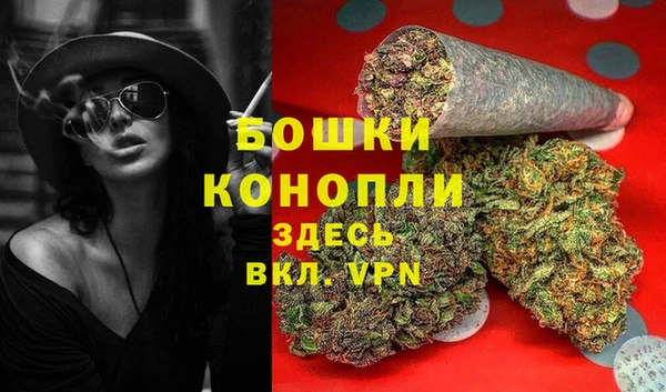винт Армянск