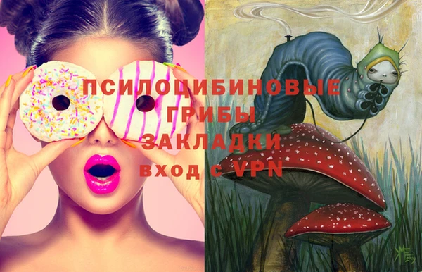 дмт Арсеньев
